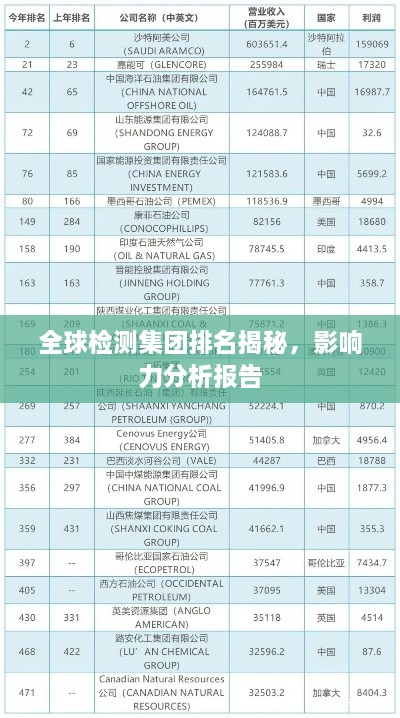 全球检测集团排名揭秘，影响力分析报告
