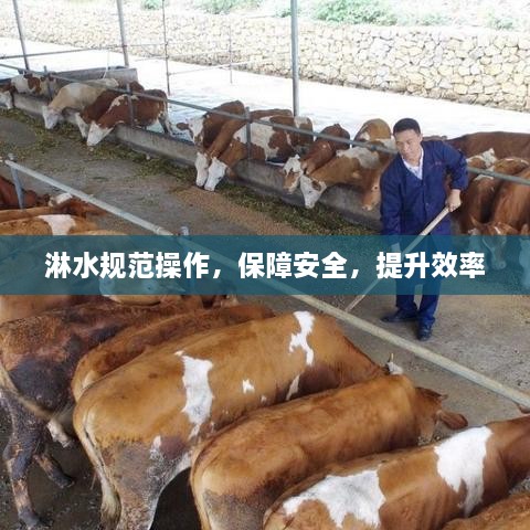 2025年4月 第134页