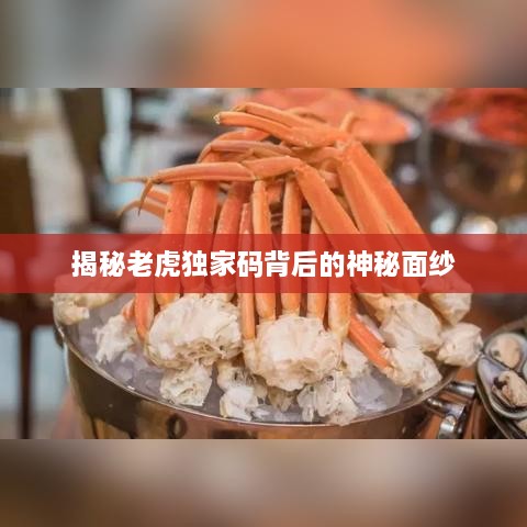 揭秘老虎独家码背后的神秘面纱