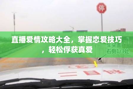 直播爱情攻略大全，掌握恋爱技巧，轻松俘获真爱