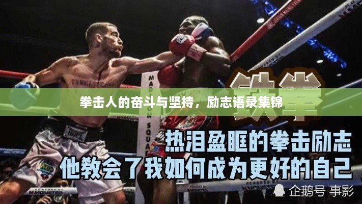 拳击人的奋斗与坚持，励志语录集锦