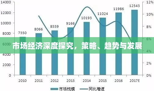 市场经济深度探究，策略、趋势与发展