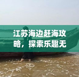 江苏海边赶海攻略，探索乐趣无穷的海滨之旅