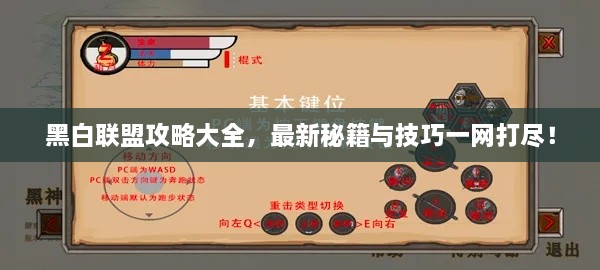 黑白联盟攻略大全，最新秘籍与技巧一网打尽！