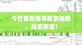 今日最新推荐股票指数，投资新宠！