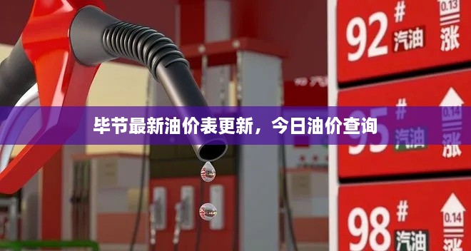 毕节最新油价表更新，今日油价查询