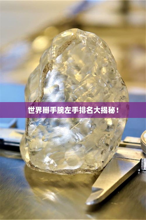 世界掰手腕左手排名大揭秘！