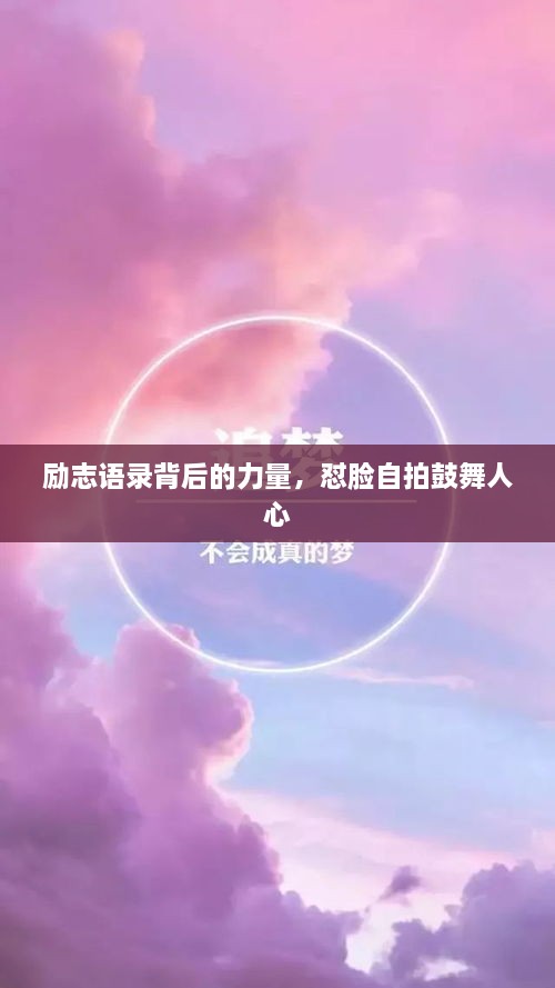 关于我们 第28页