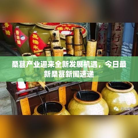桑葚产业迎来全新发展机遇，今日最新桑葚新闻速递