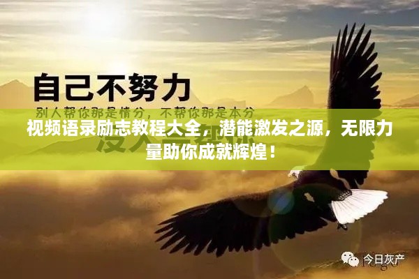 视频语录励志教程大全，潜能激发之源，无限力量助你成就辉煌！