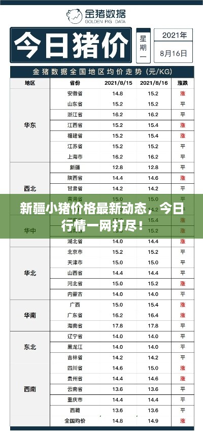 新疆小猪价格最新动态，今日行情一网打尽！