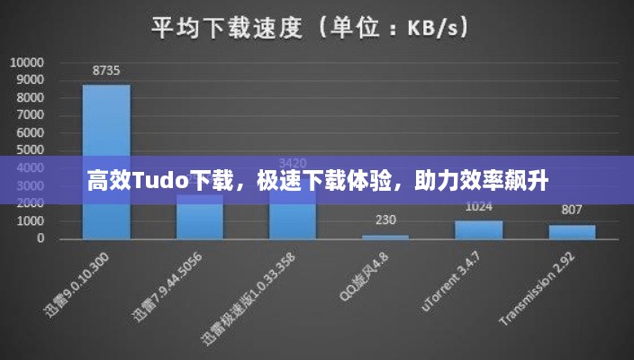 高效Tudo下载，极速下载体验，助力效率飙升