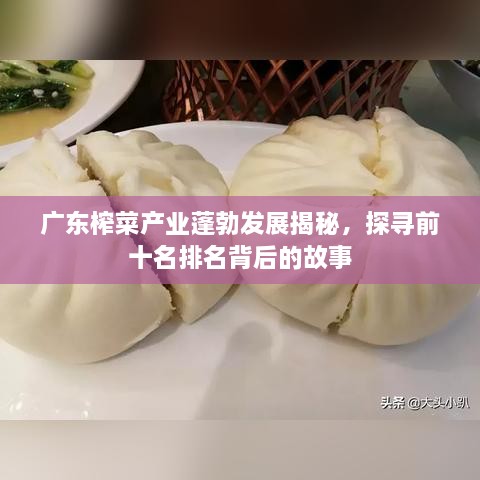 广东榨菜产业蓬勃发展揭秘，探寻前十名排名背后的故事