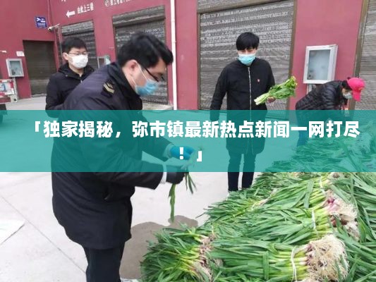 「独家揭秘，弥市镇最新热点新闻一网打尽！」