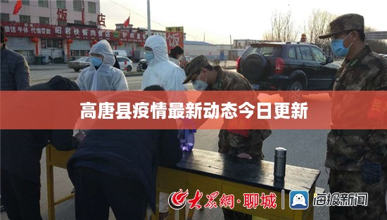 高唐县疫情最新动态今日更新