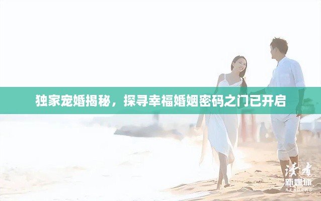 独家宠婚揭秘，探寻幸福婚姻密码之门已开启