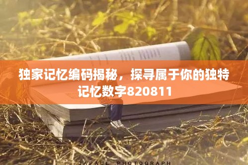 独家记忆编码揭秘，探寻属于你的独特记忆数字820811