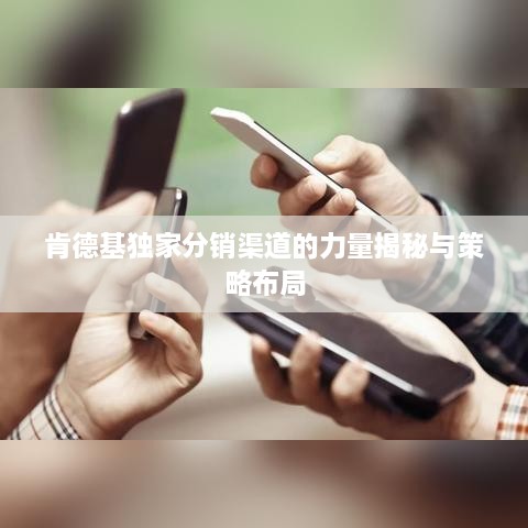 肯德基独家分销渠道的力量揭秘与策略布局