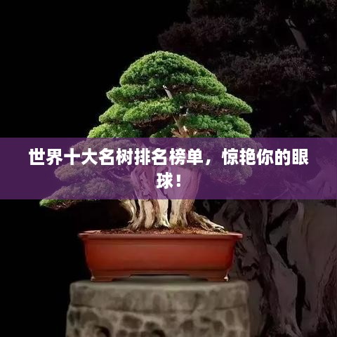 世界十大名树排名榜单，惊艳你的眼球！