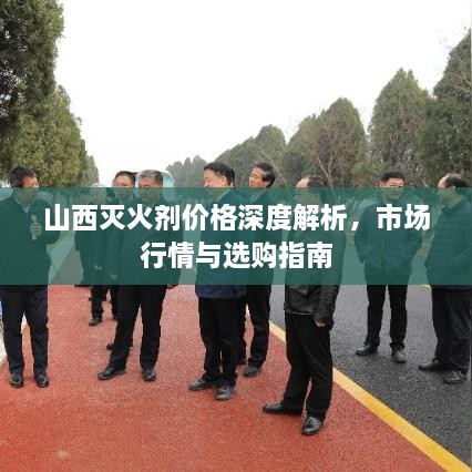 山西灭火剂价格深度解析，市场行情与选购指南