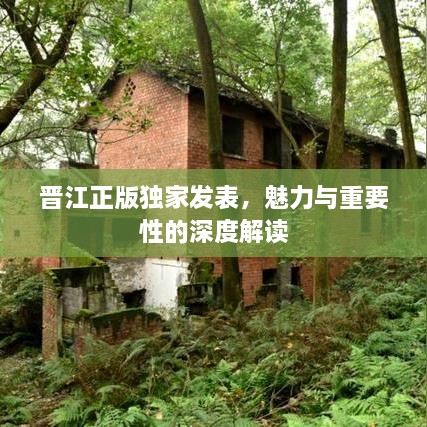晋江正版独家发表，魅力与重要性的深度解读