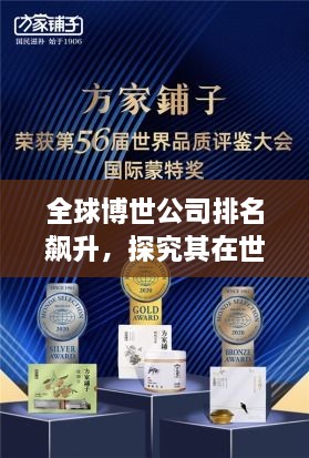 全球博世公司排名飙升，探究其在世界舞台上的巨大影响力