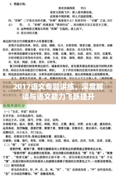2017语文专题讲练，深度解读与语文能力飞跃提升