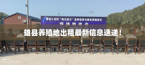 雄县养殖地出租最新信息速递！