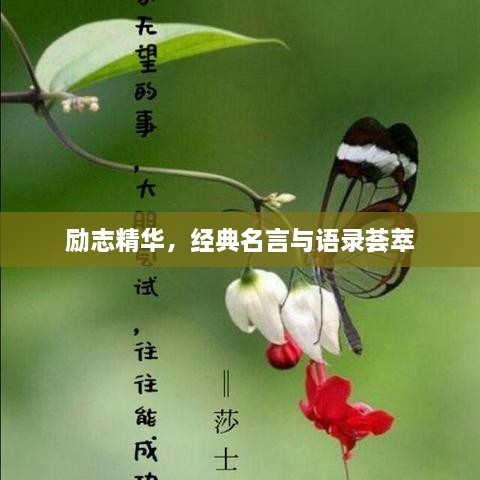 励志精华，经典名言与语录荟萃