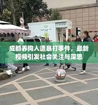 成都养狗人遭暴打事件，最新视频引发社会关注与深思