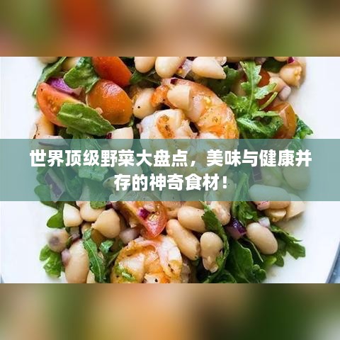 世界顶级野菜大盘点，美味与健康并存的神奇食材！