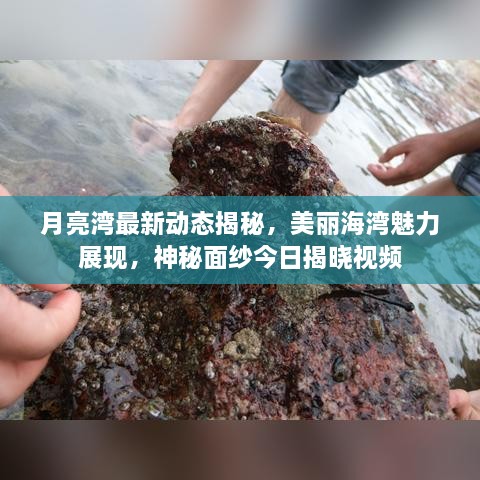 月亮湾最新动态揭秘，美丽海湾魅力展现，神秘面纱今日揭晓视频