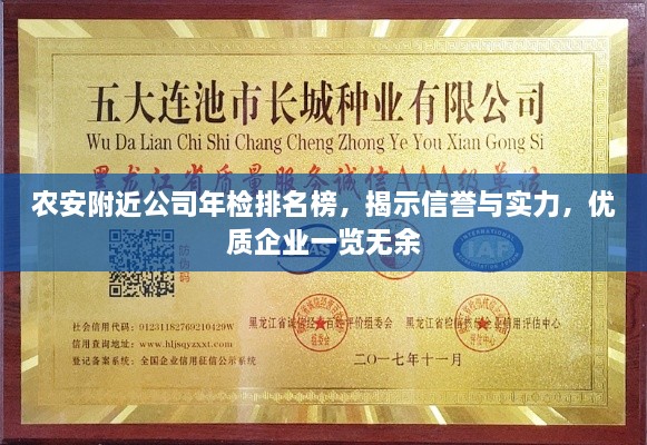 农安附近公司年检排名榜，揭示信誉与实力，优质企业一览无余