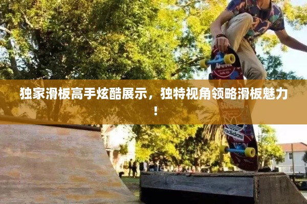 独家滑板高手炫酷展示，独特视角领略滑板魅力！