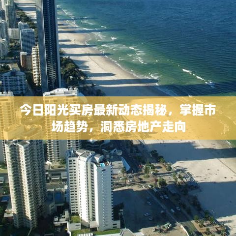 今日阳光买房最新动态揭秘，掌握市场趋势，洞悉房地产走向