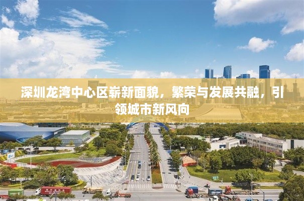 深圳龙湾中心区崭新面貌，繁荣与发展共融，引领城市新风向