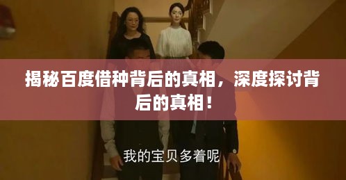 揭秘百度借种背后的真相，深度探讨背后的真相！