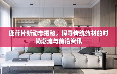 鹿茸片新动态揭秘，探寻传统药材的时尚潮流与前沿资讯