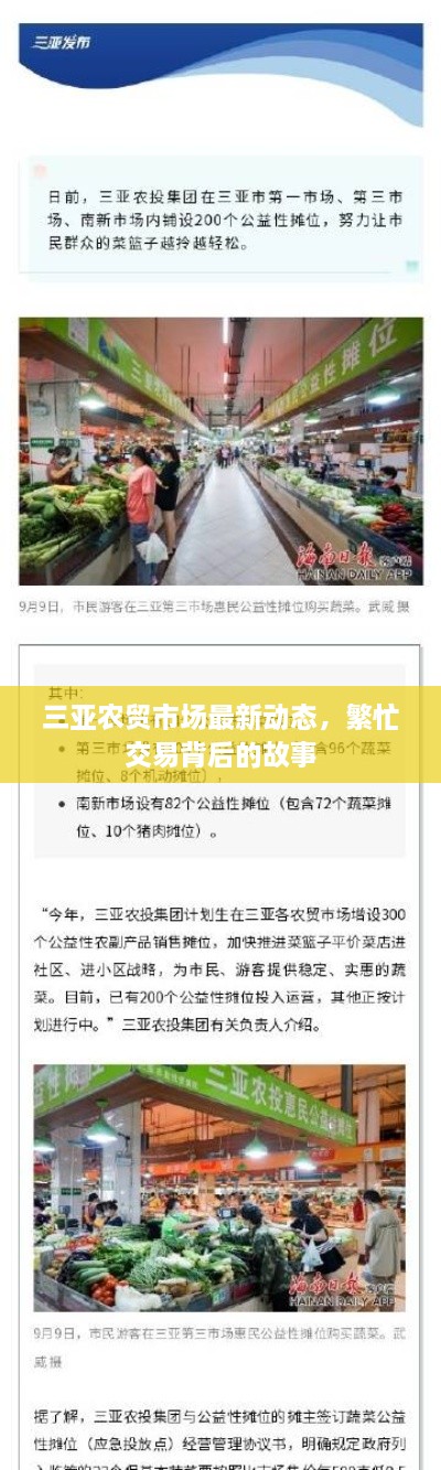 三亚农贸市场最新动态，繁忙交易背后的故事