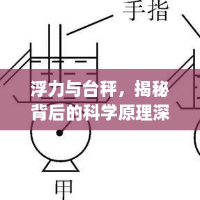 浮力与台秤，揭秘背后的科学原理深度探究专题