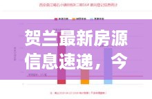 贺兰最新房源信息速递，今日租房精选概述