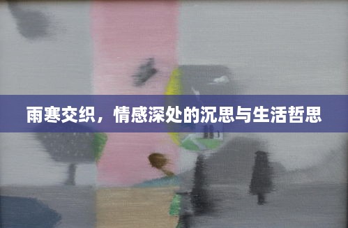 雨寒交织，情感深处的沉思与生活哲思