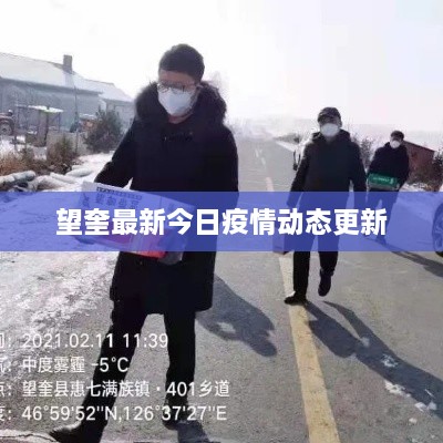 望奎最新今日疫情动态更新