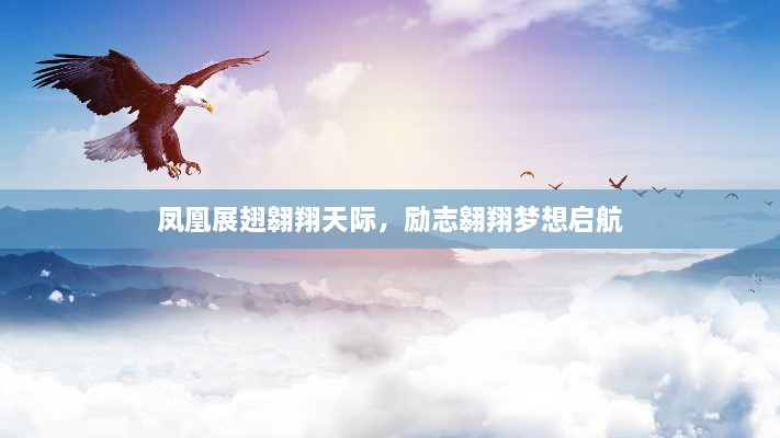 矫枉过正
