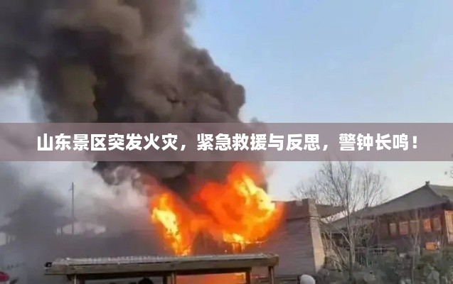山东景区突发火灾，紧急救援与反思，警钟长鸣！