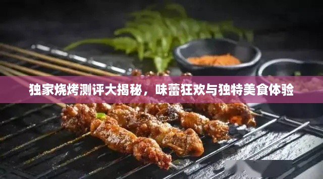 独家烧烤测评大揭秘，味蕾狂欢与独特美食体验