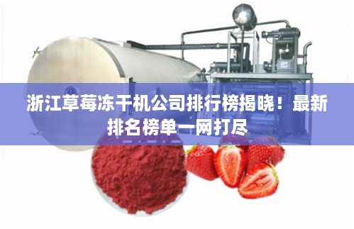 浙江草莓冻干机公司排行榜揭晓！最新排名榜单一网打尽