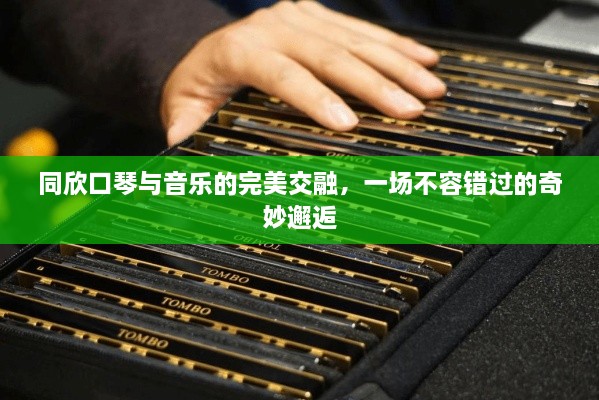 同欣口琴与音乐的完美交融，一场不容错过的奇妙邂逅