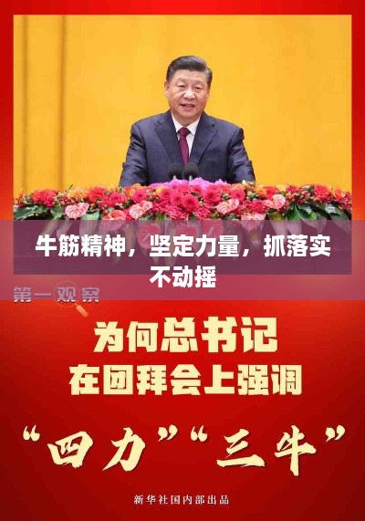 牛筋精神，坚定力量，抓落实不动摇