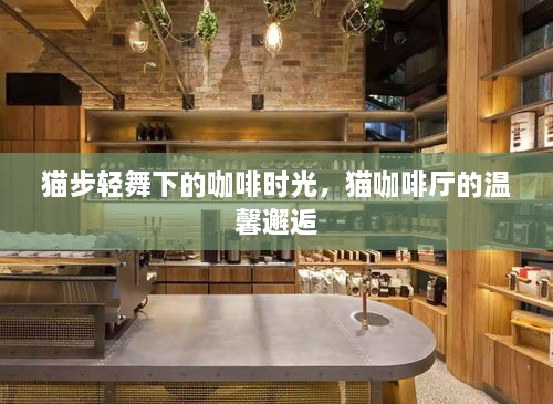 猫步轻舞下的咖啡时光，猫咖啡厅的温馨邂逅